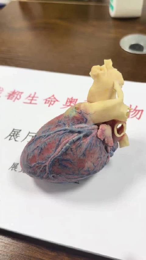 张雪峰呼吁体育从业者重视知识储备，学习能力